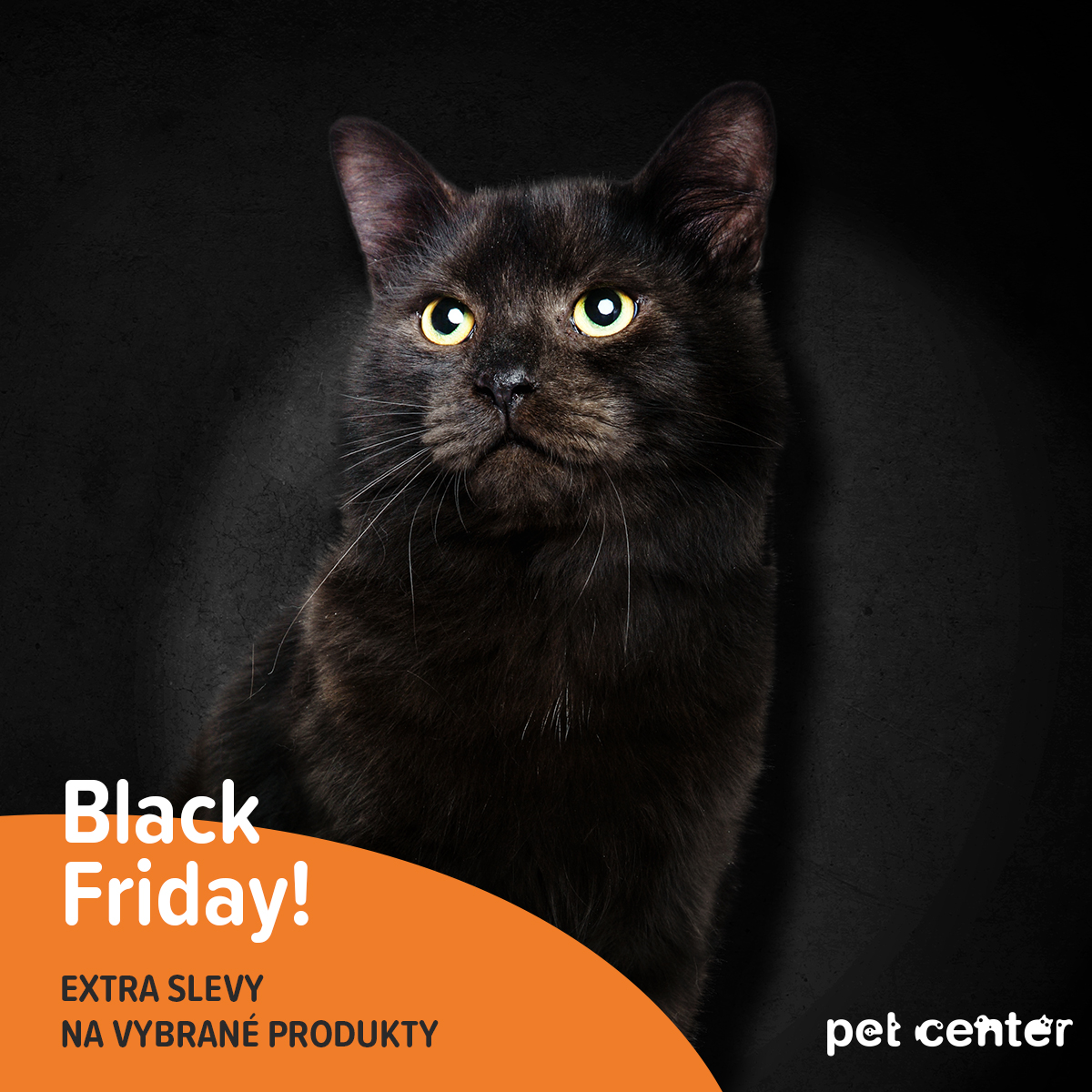 Black Friday v Pet Center