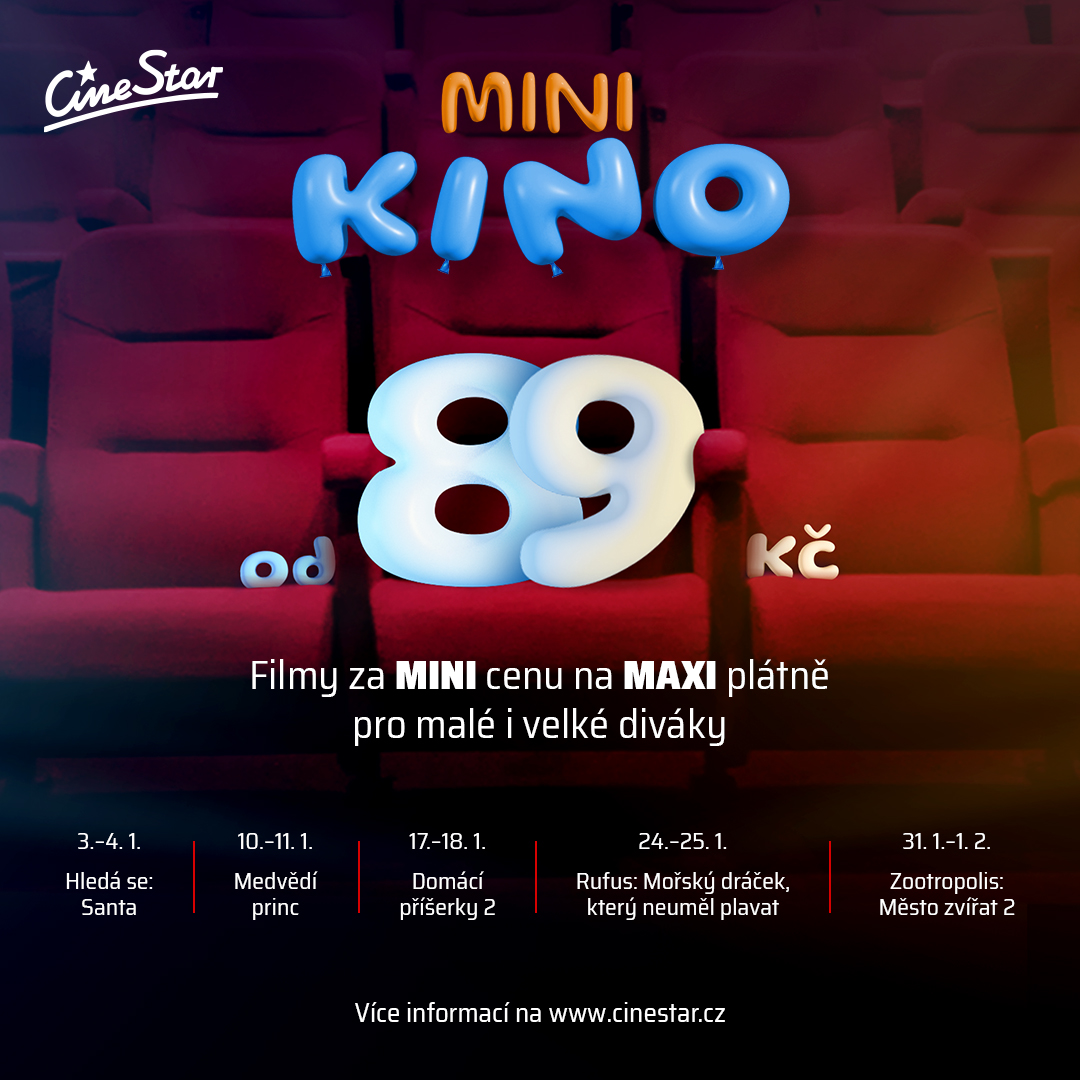 Lednové MINI kino
