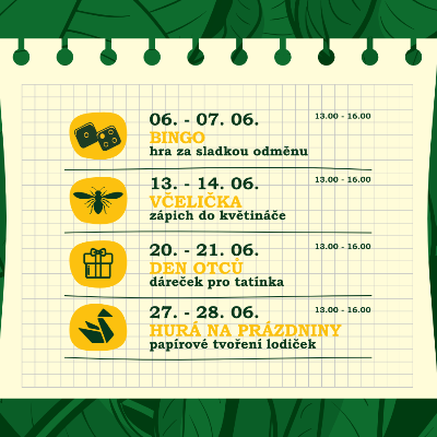 Červnová Amazonie
